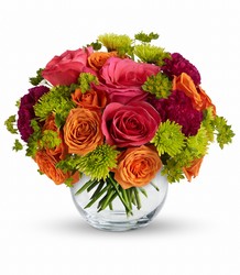 Teleflora's Smile for Me from Arjuna Florist in Brockport, NY